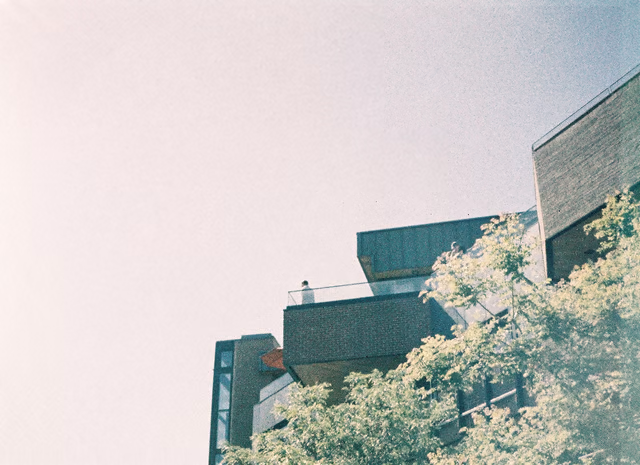 Complex, angular buildings—a person on a distant roof—against a bleached, grainy sky and layered by pale greenery