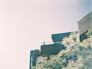 Complex, angular buildings—a person on a distant roof—against a bleached, grainy sky and layered by pale greenery