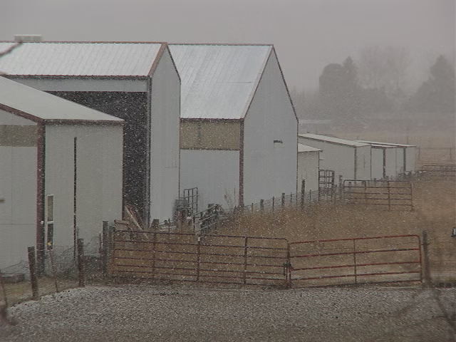White buildings in the snow next to a field