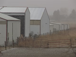 White buildings in the snow next to a field